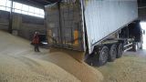 Румыния намерена добиться запрета на украинское зерно