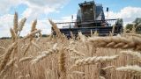 МИД России дал развернутый комментарий по зерновой сделке