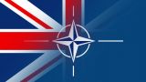 Глава Минобороны Великобритании и генсек НАТО обсудили Украину