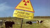 Более трети россиян отметили ухудшение экологической ситуации