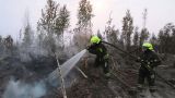 Пожары в Рязанской области и в Марий Эл локализованы — правительство