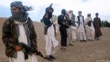 Минобороны Афганистана оценивает численность боевиков в стране в 50 тысяч