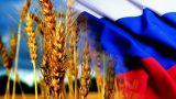 Россия впервые выходит на второе место в мире по экспорту зерна