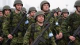 Власти Эстонии «волю к самообороне» будут укреплять мультфильмами