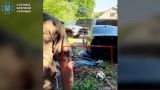 Малюк* показал трупы мужчины и женщины, убивших полковника СБУ в Киеве