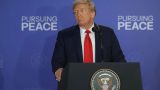 Трамп намерен организовать встречу Путина и Зеленского