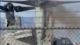 В США на учениях военных сгорел конвертоплан за 120 млн долларов. Фото