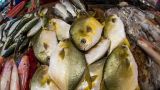 Россия сняла запрет на ввоз и транзит живой рыбы из Китая