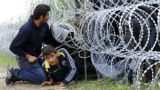 В Литве призывают объявить экстремальную ситуацию из-за наплыва мигрантов
