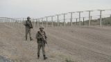 Перестрелки на узбекско-афганской границе не было — МИД