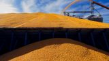На Украине оценили потери от выхода России из зерновой сделки