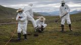 В Монголии подозрения на чуму: объявлен карантин и запрет есть сурков