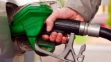В июне в России цены производителей на бензин взлетели на 10%