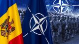 Госдеп США пообещал поддержать Молдавию на пути в НАТО и ЕС