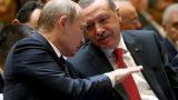 Путин и Эрдоган обсудили ситуацию на Ближнем Востоке и борьбу с ИГ