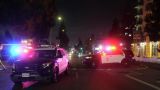 В Лос-Анджелесе автомобиль въехал в толпу, не менее 30 человек ранены