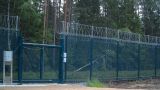 Федя, дичь! Финляндия закрыла ворота для животных на границе с Россией