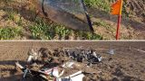 Su-29 crashes in Leningrad Region of Russia
