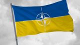 «Очень мирная нация» просится стать «сильным партнëром» НАТО и Турции в Чëрном море