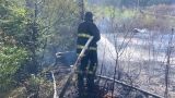 В зоне отчуждения Чернобыльской АЭС спасатели тушат масштабный лесной пожар