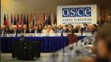 Бывший посол США призвал исключить из ОБСЕ Россию и Белоруссию