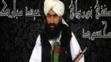 Пакистанский «Талибан» отказался продлевать прекращение огня с Пакистаном
