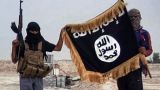 ОДКБ: ДАИШ и «Аль-Каида» пытаются создать террористический альянс