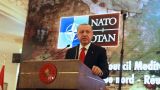 Турция злит НАТО: «трудный подросток» перешёл границы дозволенного
