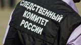 Бывший вратарь сборной СССР по хоккею Виктор Толмачев убит в Москве