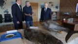 Япония разразилась «решительным протестом» на поездку Путина на остров Итуруп