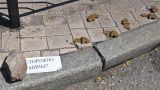 Под Белгородом после обстрелов ВСУ обнаружены мины «Лепесток» — Гладков