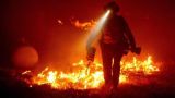 Невиданные пожары испепеляют западное побережье США: «Это был зверь»