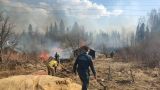 Губернатор Свердловской области назвал критической ситуацию с пожарами