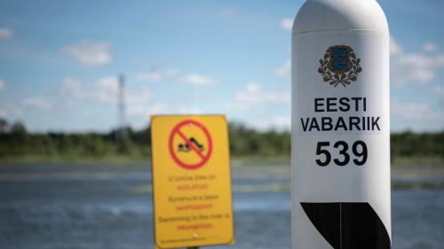 Эстония нашла уникальное решение отгородиться от России и украинских дронов — RMF24