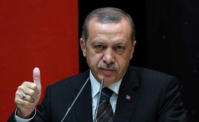 Эрдоган намерен предложить Маску инвестировать в Турцию