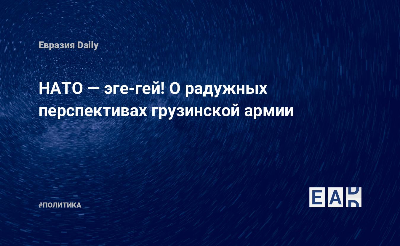 НАТО — эге-гей! О радужных перспективах грузинской армии — EADaily, 8  февраля 2021 — Новости политики, Новости Кавказа