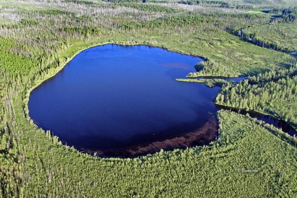 Российские ученые ищут разгадку катастрофы Тунгусского метеорита